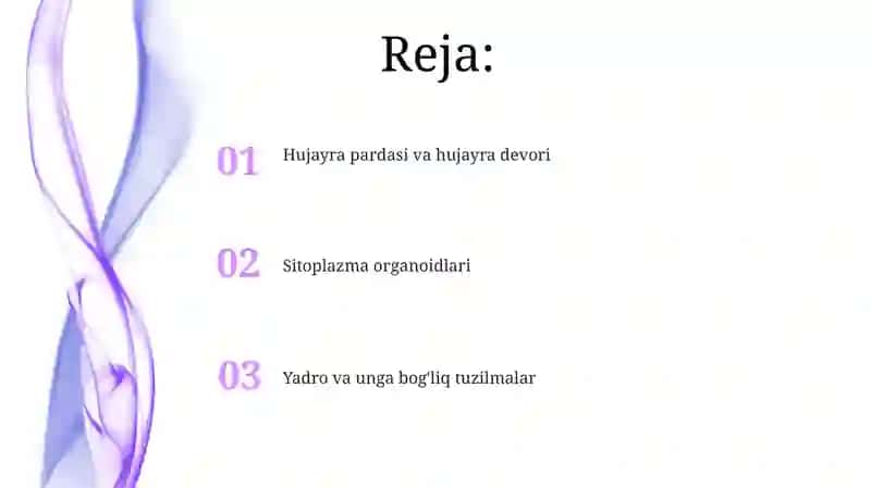 Eukariothujayralarningultrastrukturaviytuzilishi 2