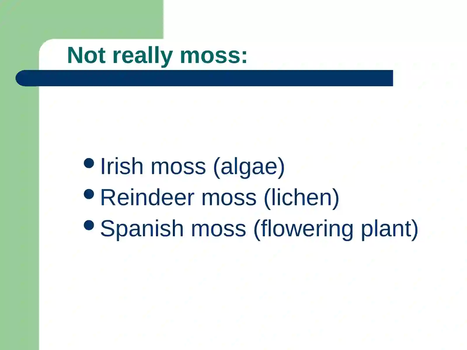 Phylum Bryophyta 2