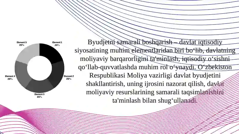 O‘zbekiston Respublikasi Moliyavazirligining byudjet sohasini boshqarish dagi vakolatlari 2
