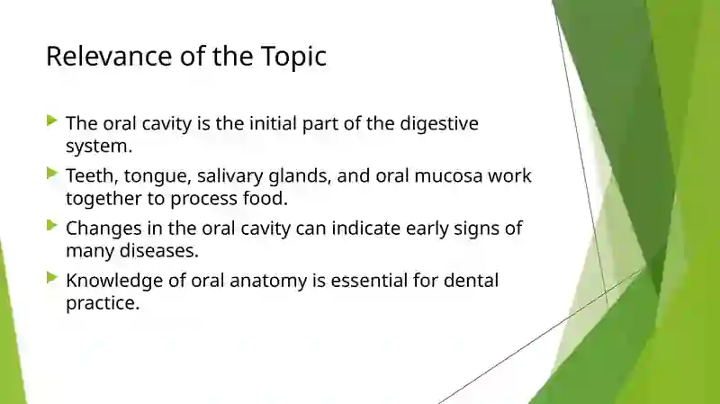 Anatomical structure of the oral cavity 2