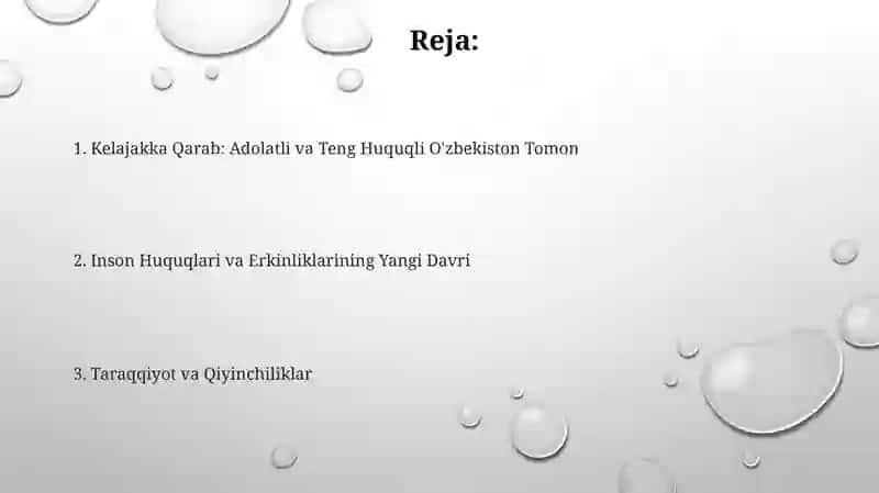 Yangi Oʻzbekistonda inson huquqlari va erkiliklari kafolatlari 2