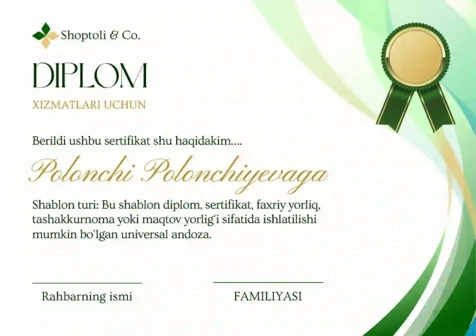 DIPLOM 2