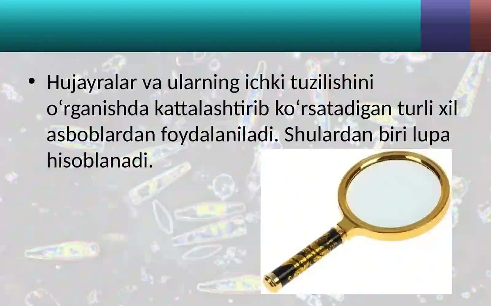 Lupa va mikroskop tuzilishi bilan tanishish 2