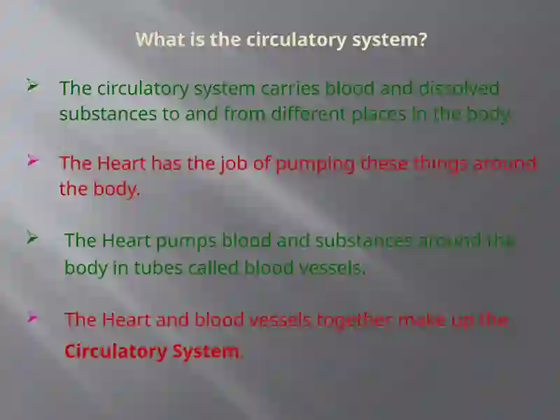 Circulatory System 2