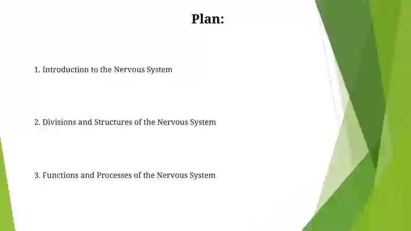 Nervous System 2