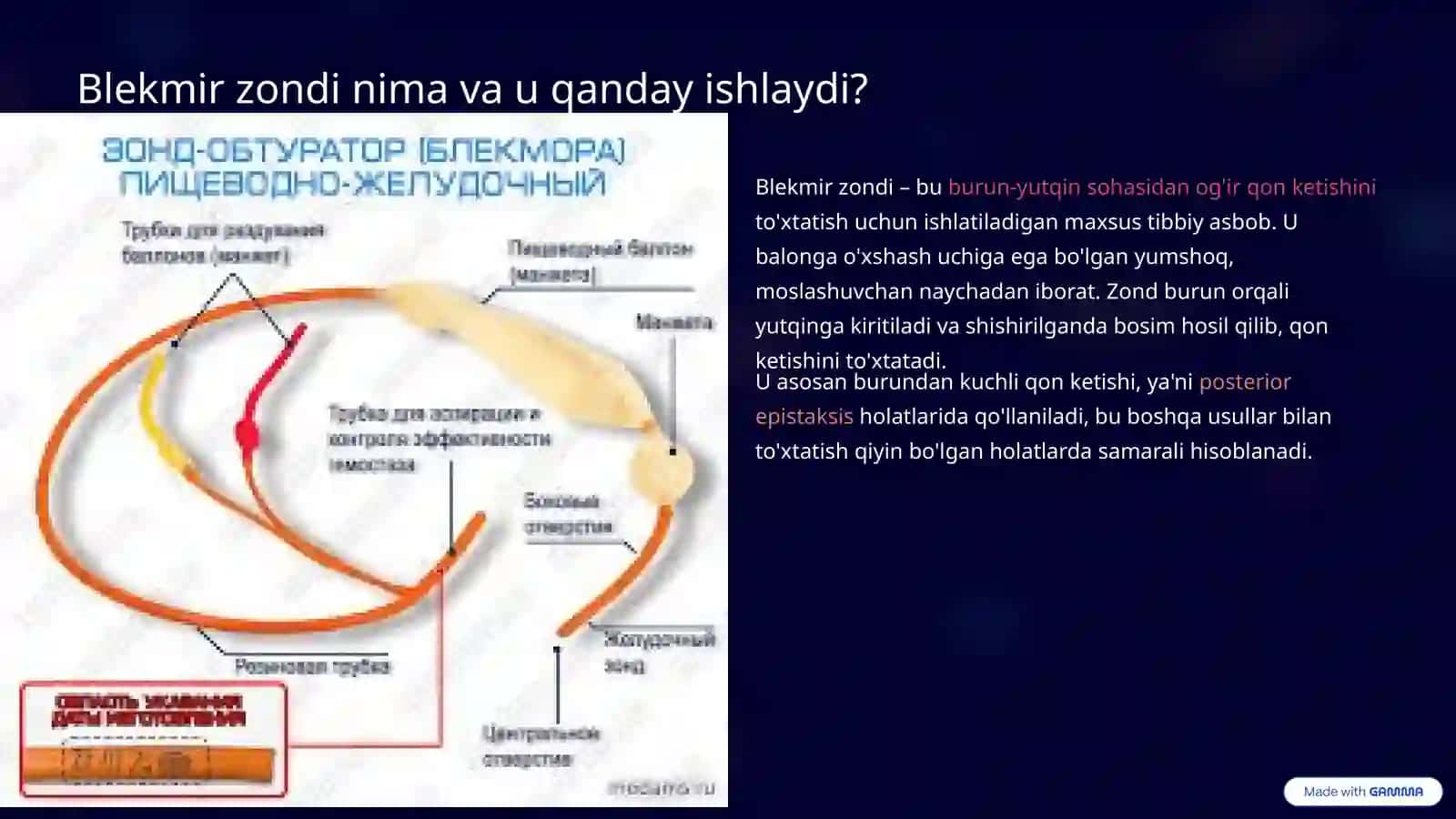 Blekmir zondini qo'yish: Usullar, ko'rsatmalar va qarshi ko'rsatmalar 2