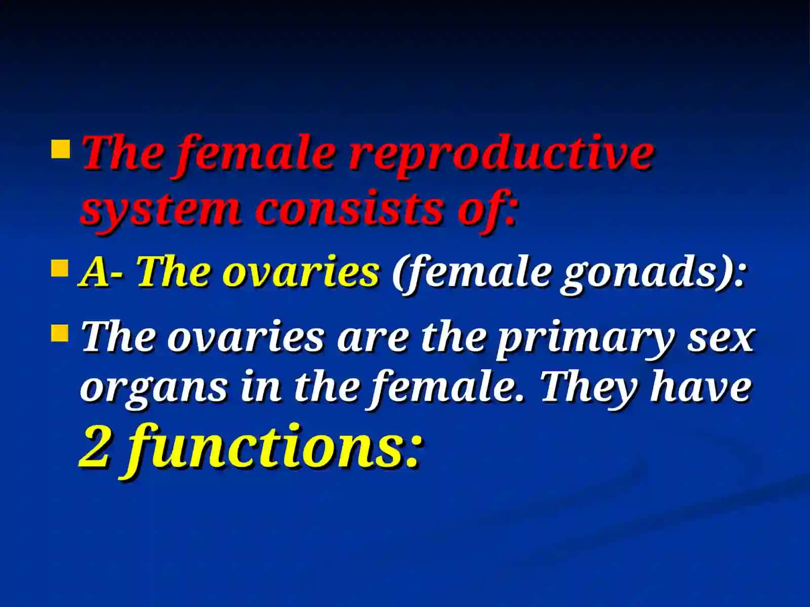 Female reproductive system 2