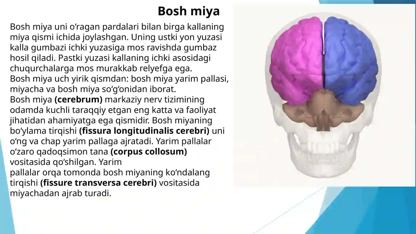 Boshmiya 2