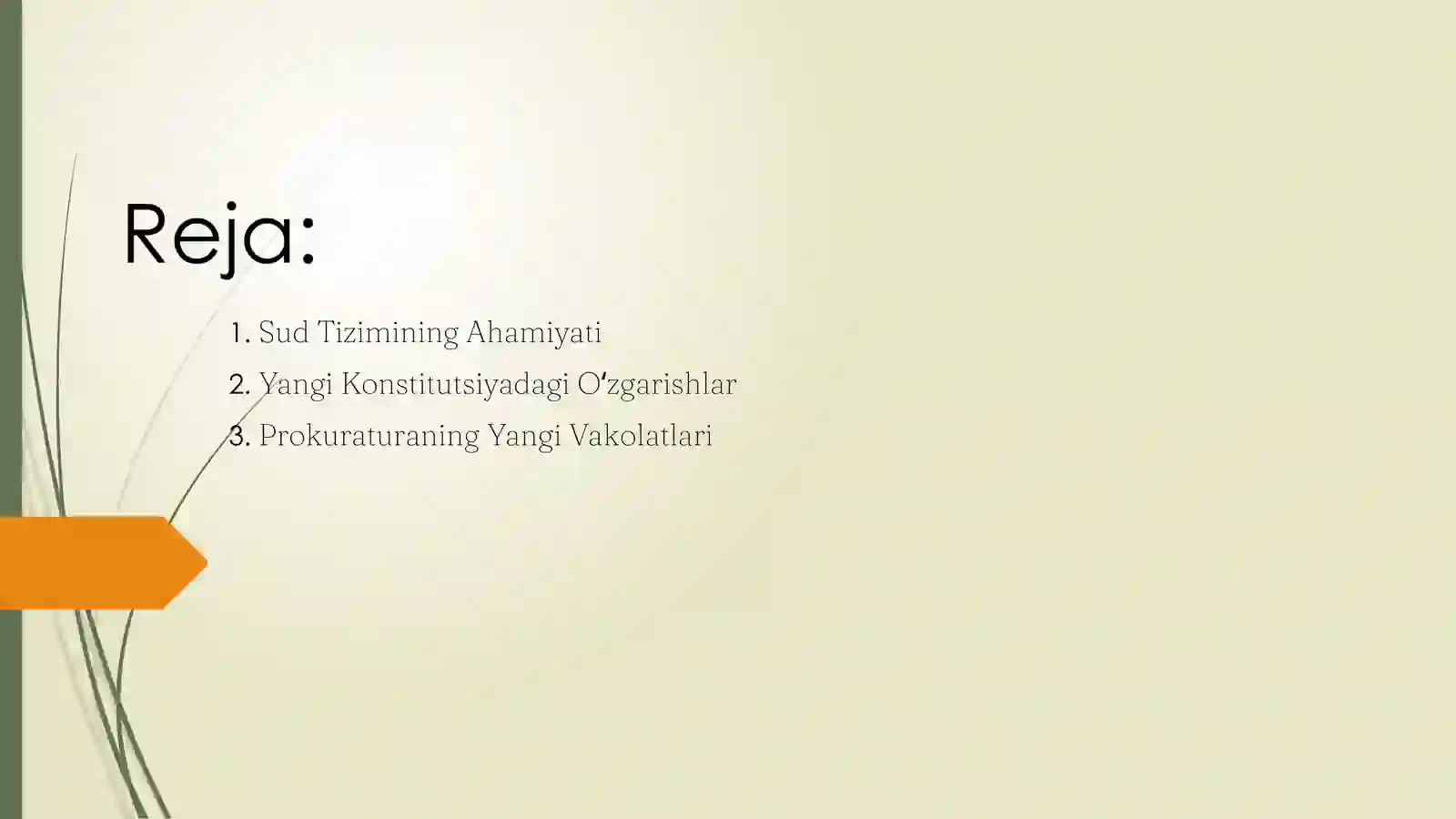 Yangi Konstitutsiyadagi O'zgarishlar 2