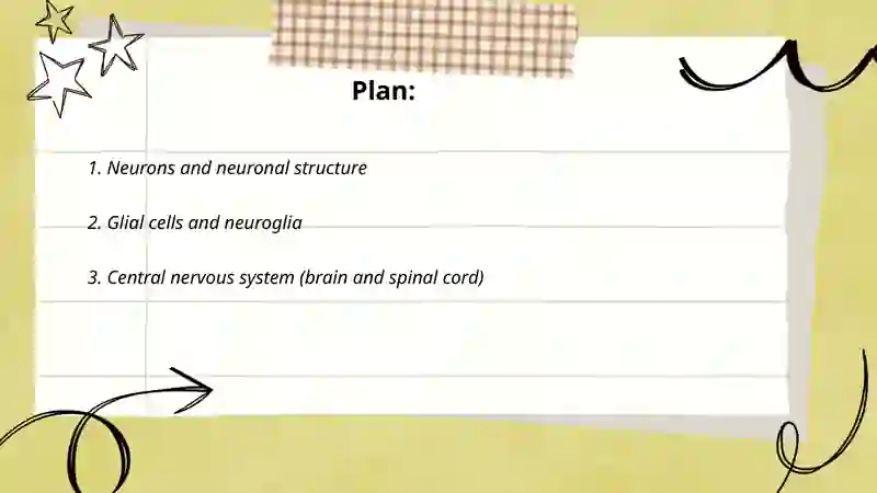 Nervous system 2