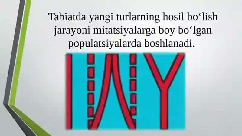 10-sinflarda“Turlarning paydo bo`lishi.”mavzusida 1 soatlik dars ishlanmasi 2