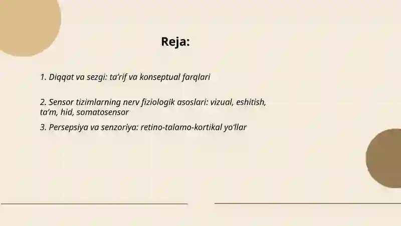 Diqqat va sezgi haqida tushuncha uning nerv fiziologik asoslari 2