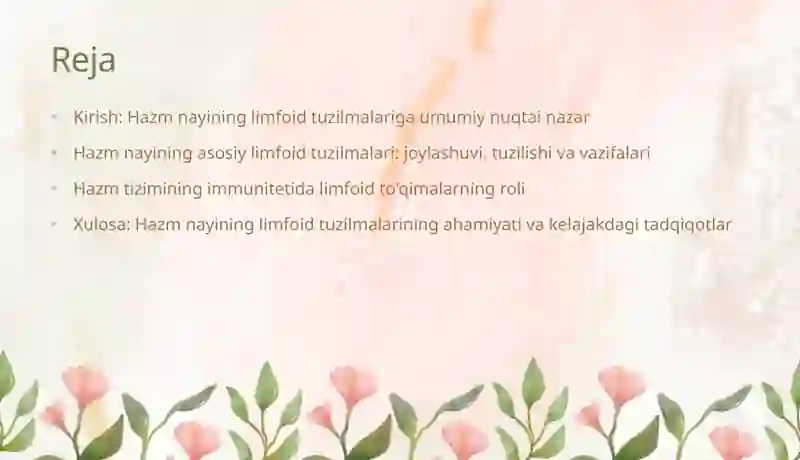 Hazm nayining limfoid tuzilmalari 2