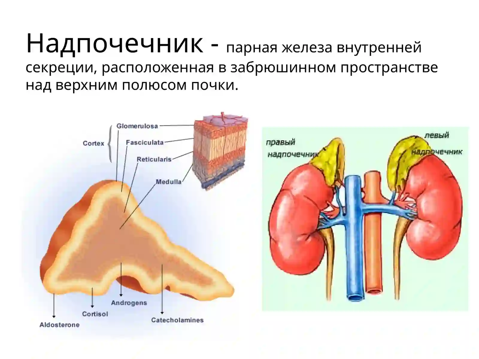 Иценко-Кушинга 2