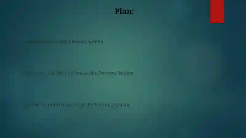 Nervous System 2