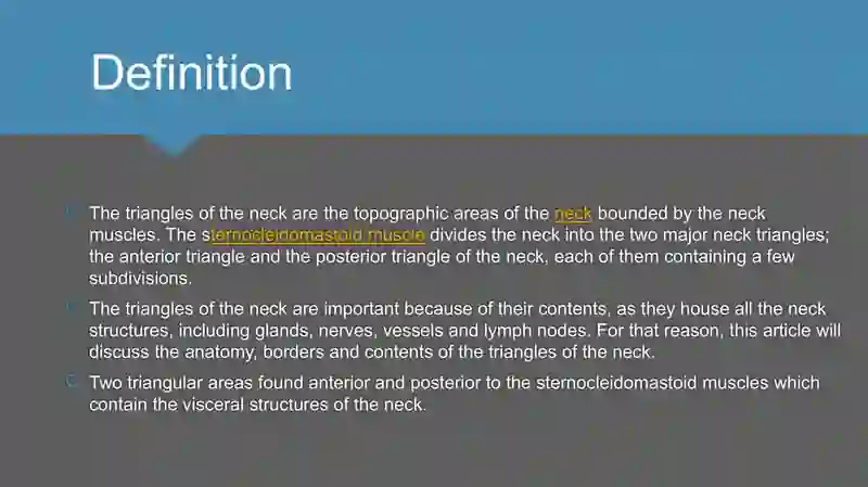 Triangles of neck anatomy 2