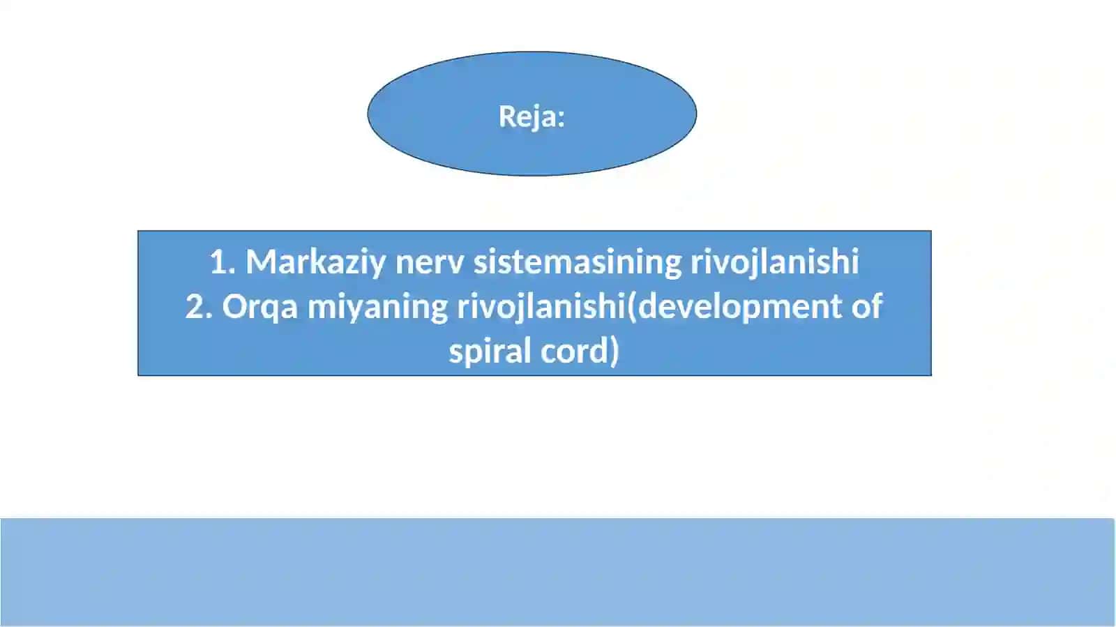 asab sistemasi ontogenezi 2