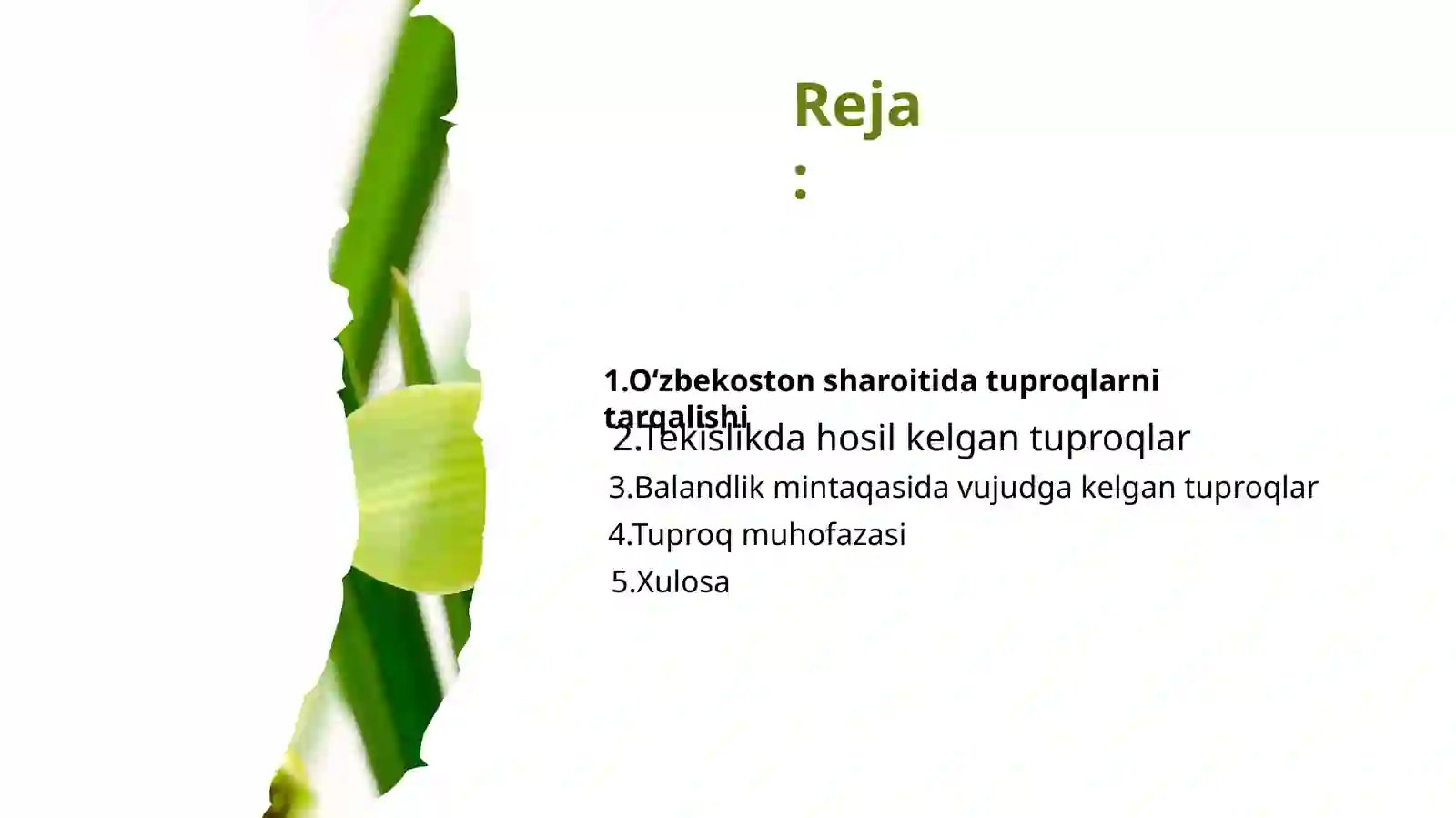 Tuproqlar 2