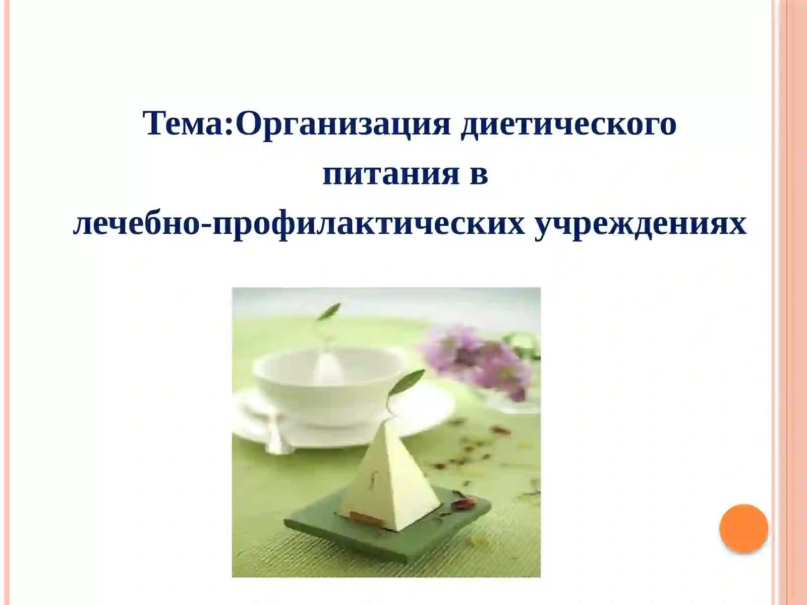 ГИГИЕНА ПИТАНИЯ 2