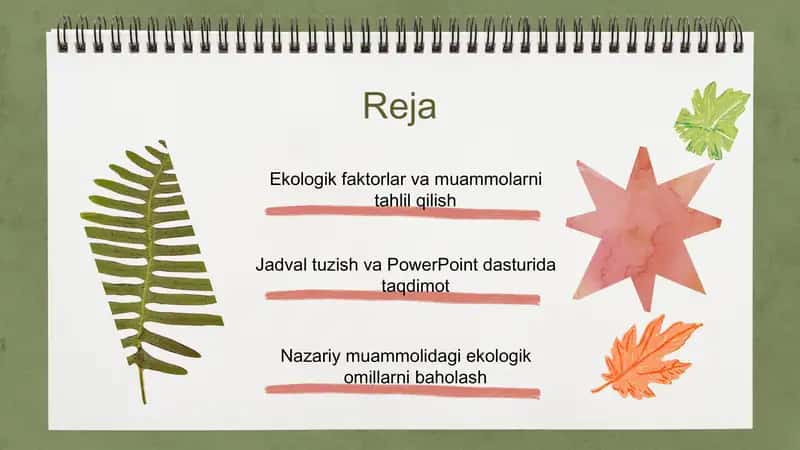 Ekologik faktorlar nazariy muammoli topshiriqlar bo‘yicha PowerPoint taqdimoti 2