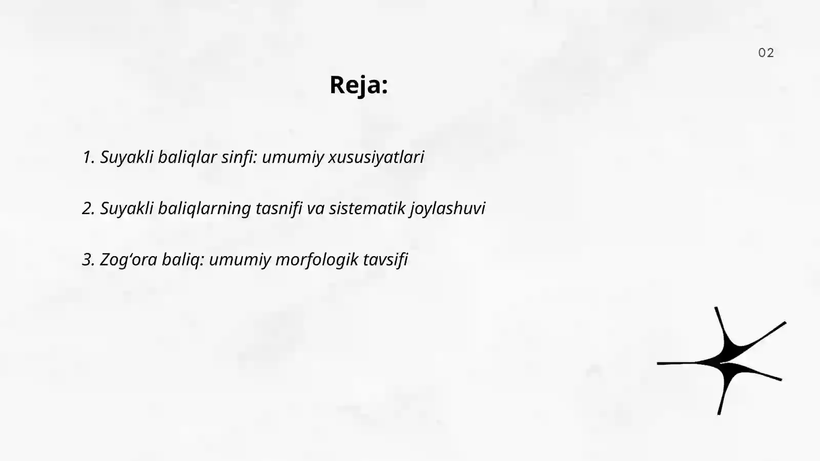 Suyakli baliqlar sinfi 2