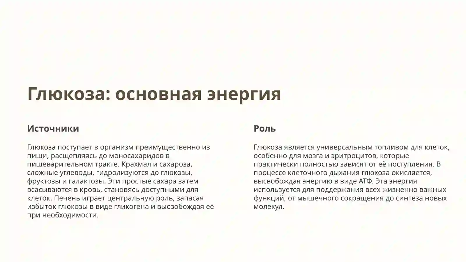 Обмен углеводов: Введение 2