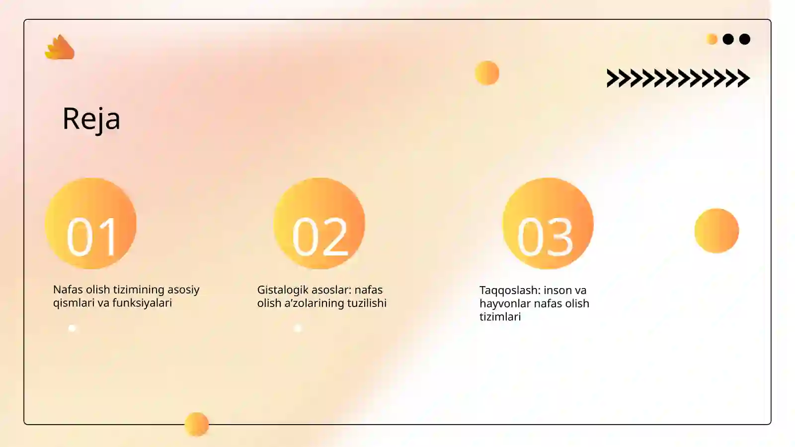 Nafas olish aʼzolarining qiyosiy gistalogik tasnifi 2