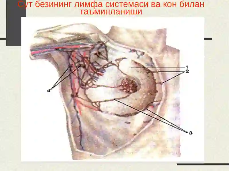 Сутбези 2