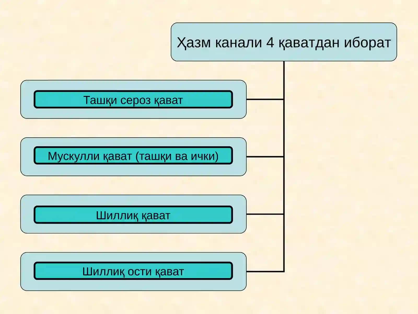 Тил ости сўлак бези 2