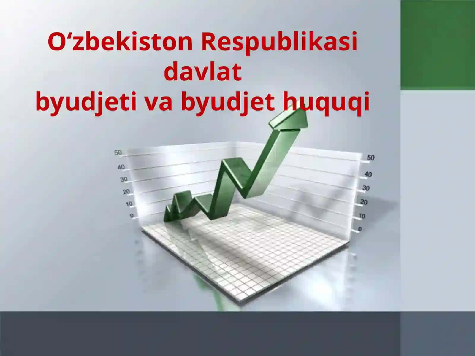 Byudjet huquqini davlat byudjeti mablag‘larini tashkil etish, taqsimlash va ulardan foydalanish bo‘yicha yuzaga keladigan ijtimoiy munosabatlarni tartibga soluvchi moliyaviy-huquqiy normalar majmuyi 2