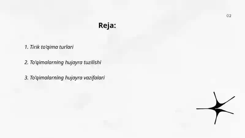 Hosil qiluvchi toqimaning tuzilishi va vazifalari 2