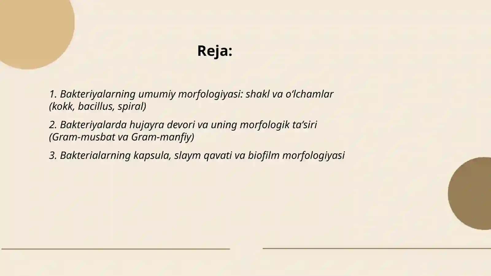 Bakteriyalarning morfologiyasi 2
