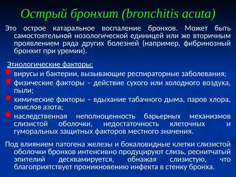 Острый бронхит (bronchitis acuta) 2
