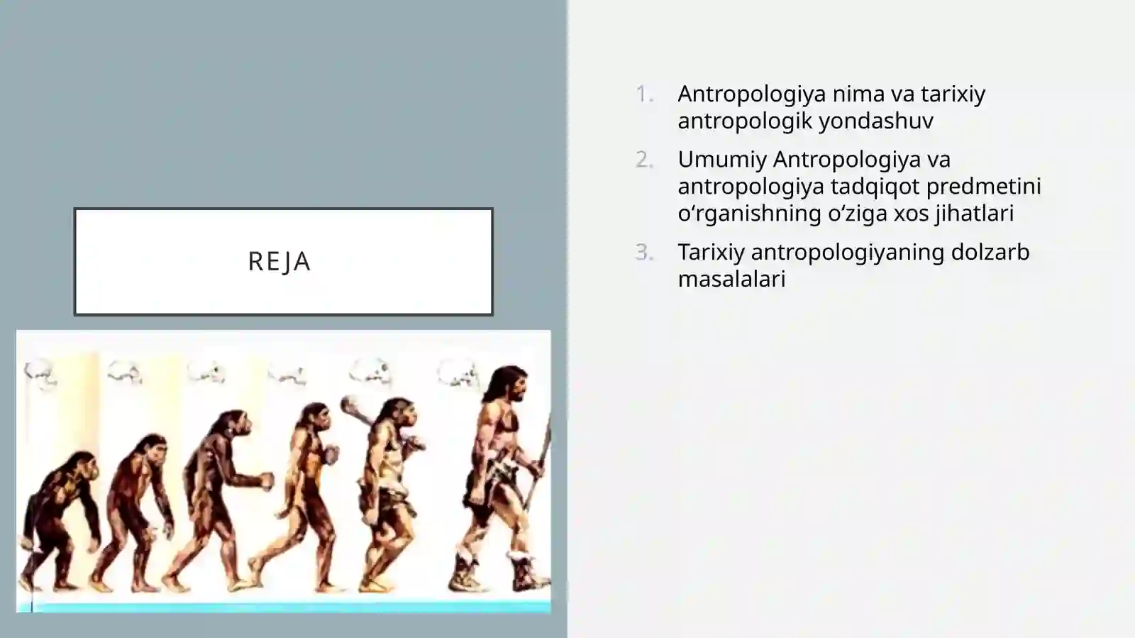 Tarixiy Antropologiya 2