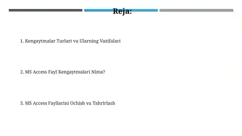 Microsoft Access Fayl Kengaytmalari 2