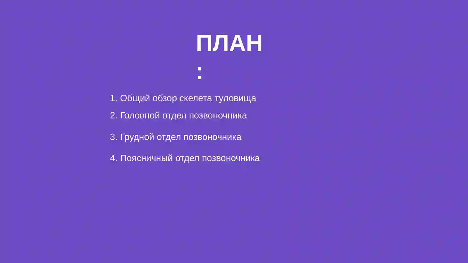 Скелет туловища 2