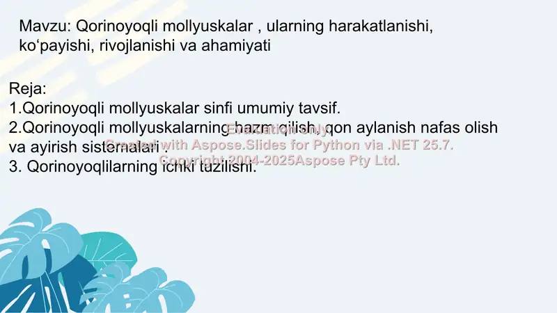Qorinoyoqli mollyuskalar 2