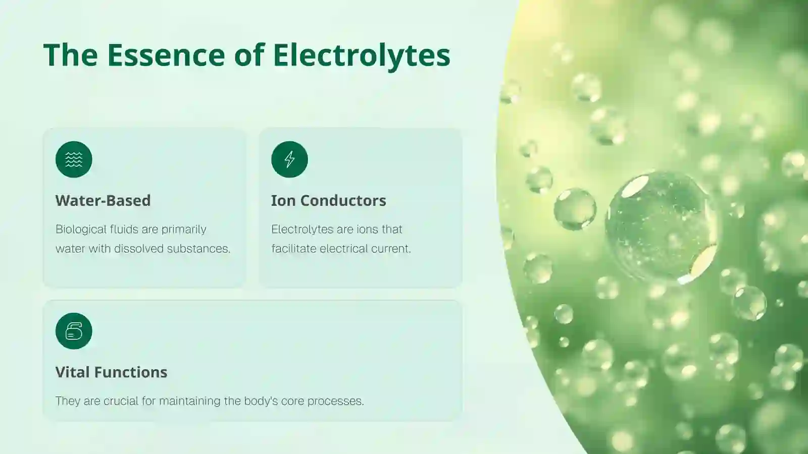 Biological Fluids: The Body's Electrolyte Solutions 2