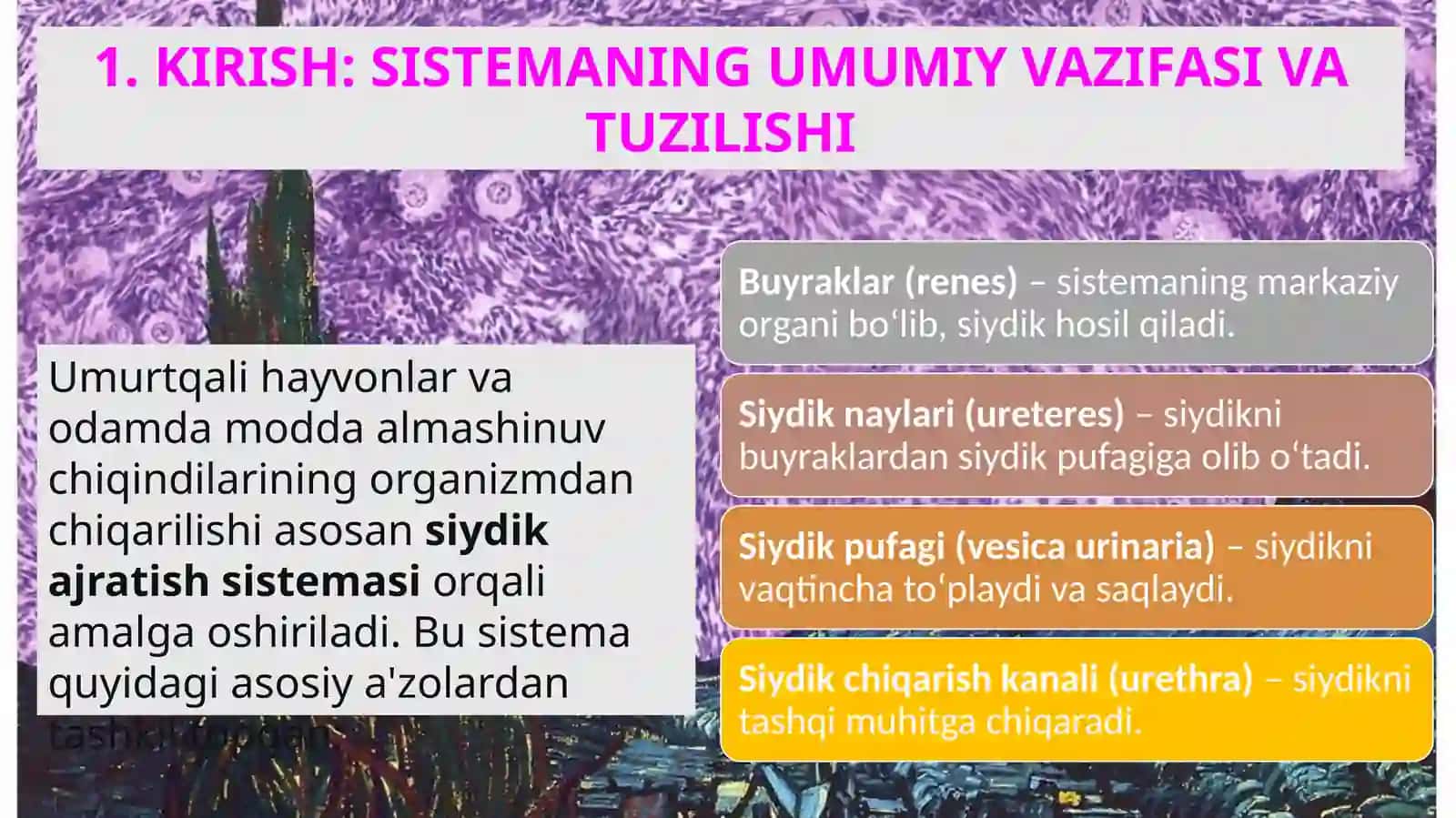 AYIRISH SISTEMASI: Tuzilishi, Funksiyasi va Rivojlanishi 2