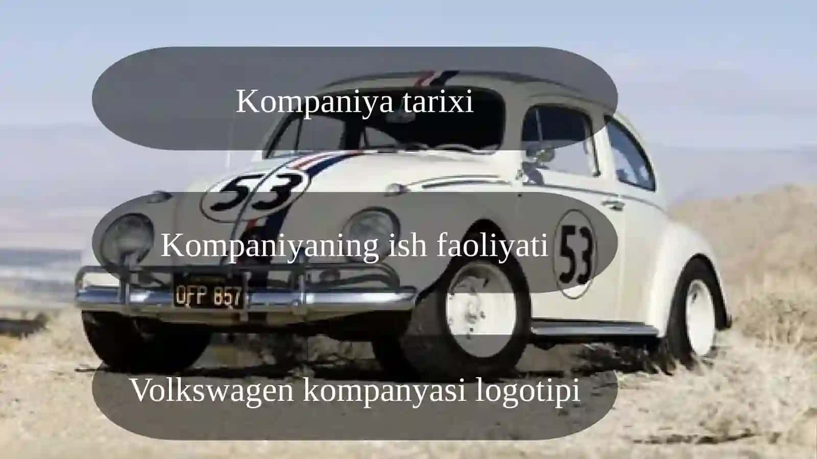 Volkswagen avtomobil brendi 2