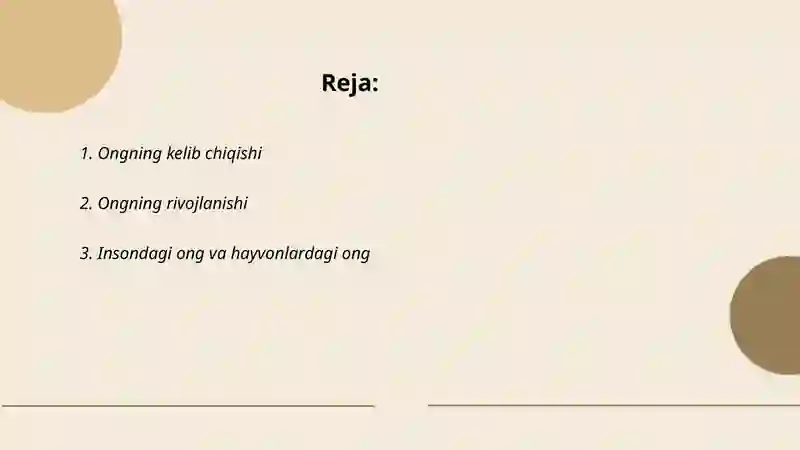 Ong va faoliyat 2
