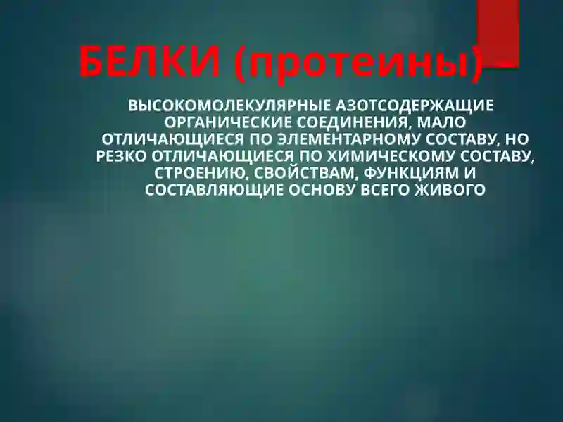 Строение и функции белков 2