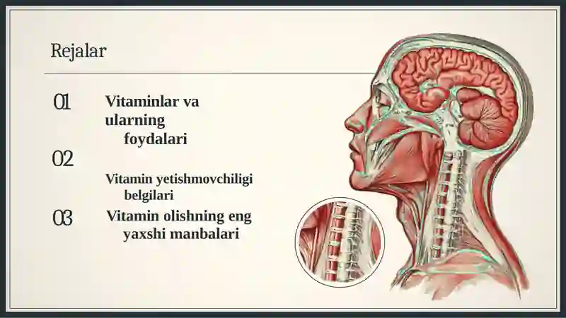 Vitaminlar 2
