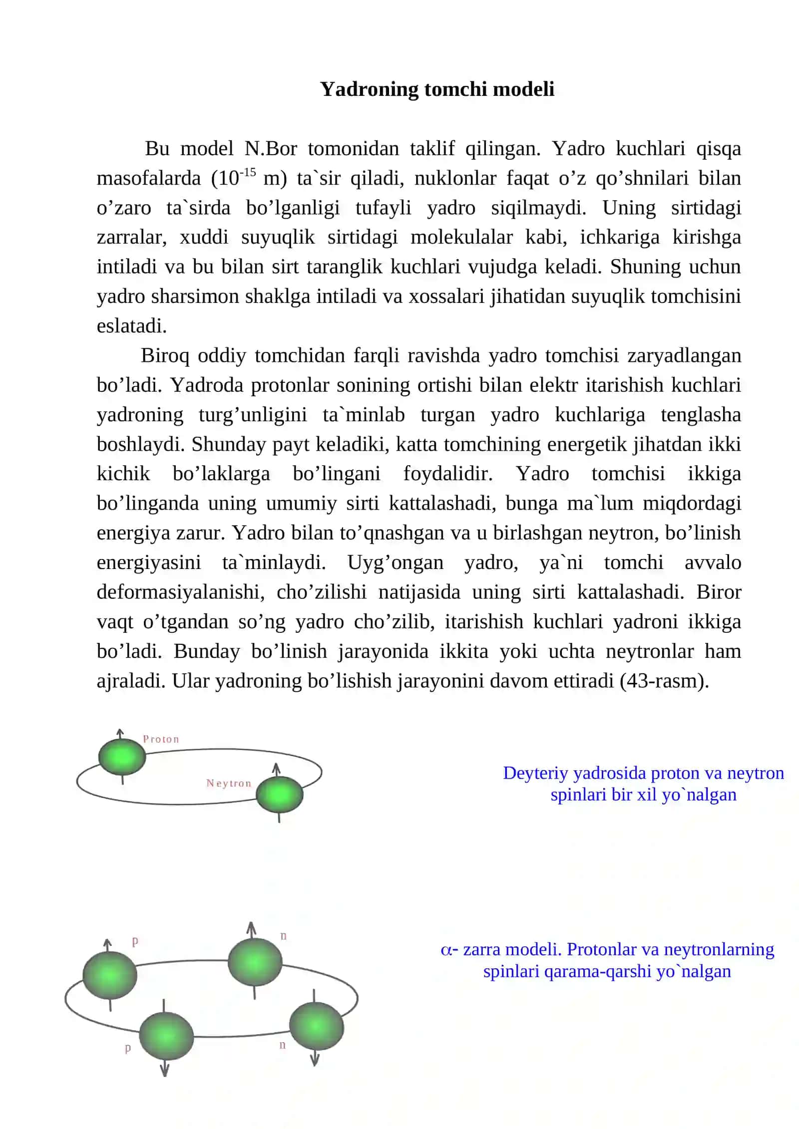 Yadroning tomchi modeli 2