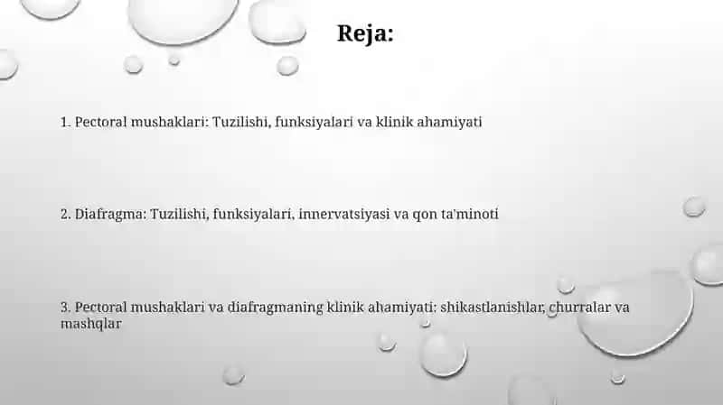 Ko'krak muskullari.yuzaki va chuqur. Diafragma 2