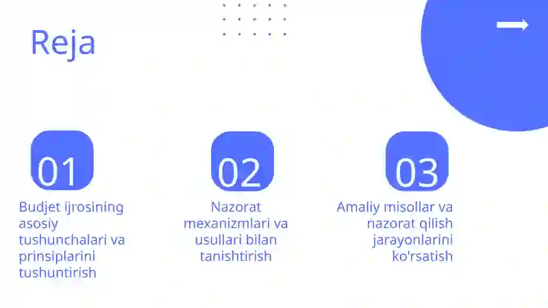 Budjet ijrosining nazorat qilish 2