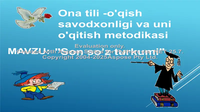 Son so'z turkumi 2