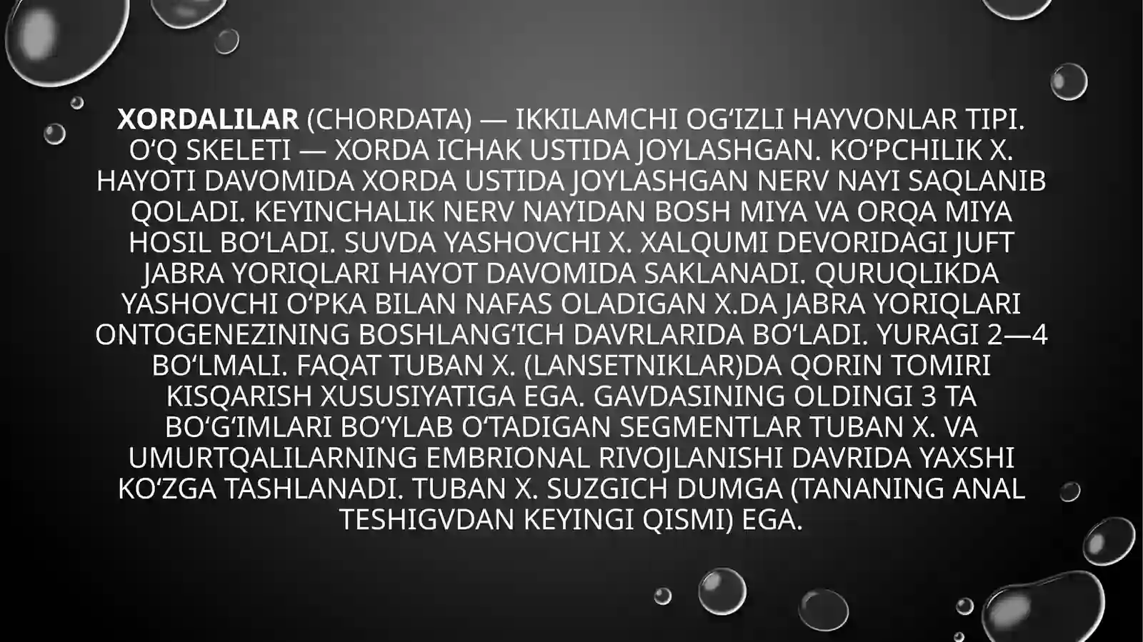 Xordalilar (Chordata) 2