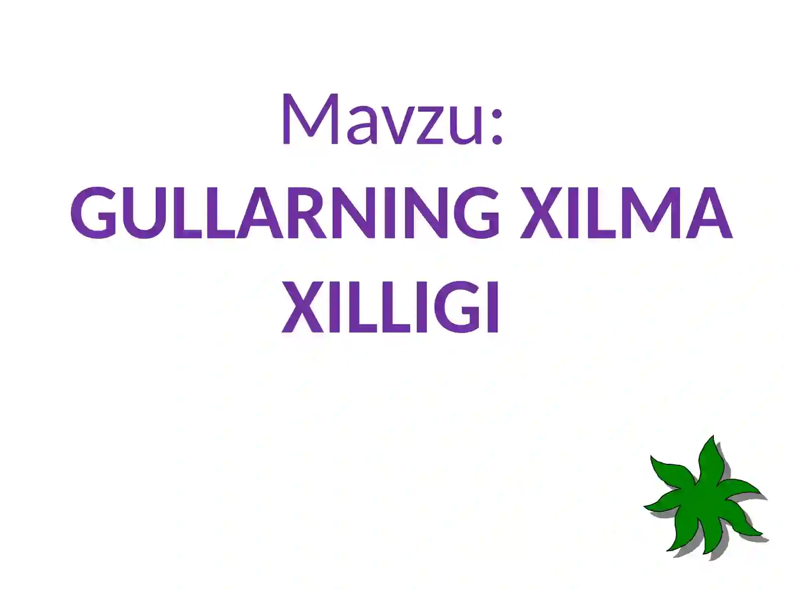 GULLARNING XILMA XILLIGI 2