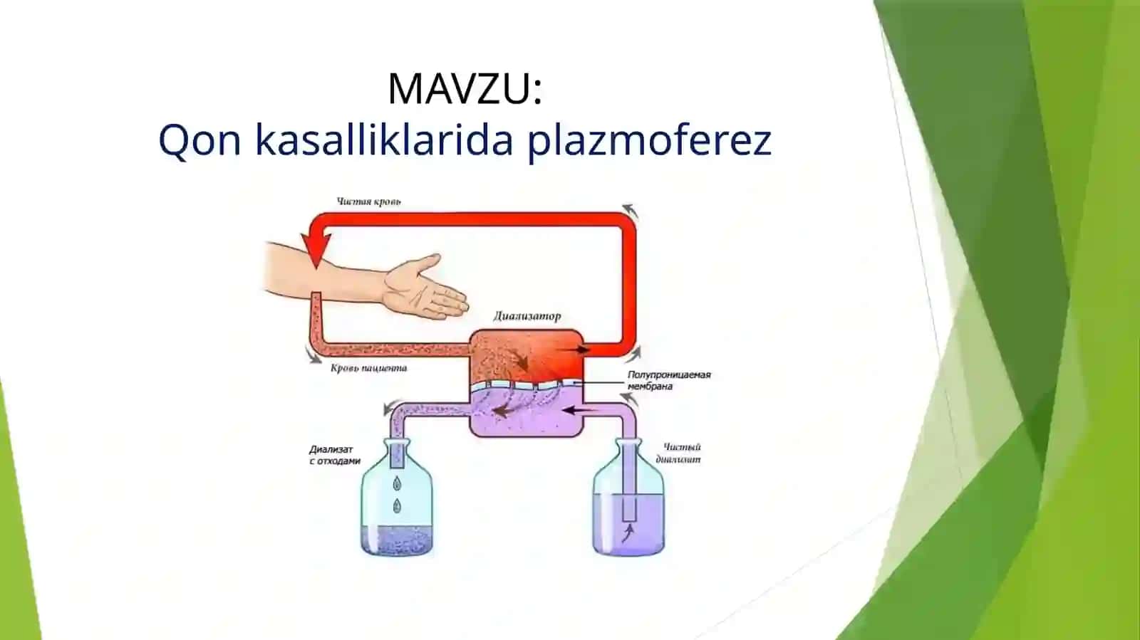 Qon kasalliklarida plazmoferez 2